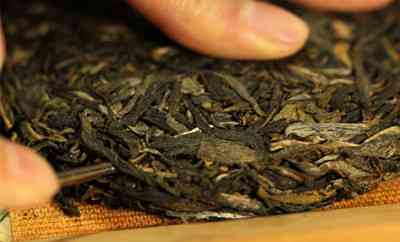 从采摘到品鉴：全面了解普洱茶的制作过程和品鉴技巧