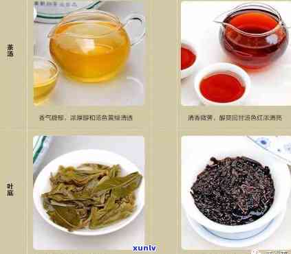 普洱茶类分为几大类型：生茶、熟茶、青茶、红茶。