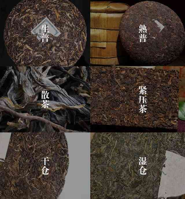 普洱茶四大类别详解：从原料、制作工艺到品种特点，一次全面了解普洱茶