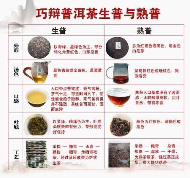 云南普洱茶：六大类型及其制作工艺与特点一览