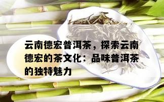 云南天号茶文化传播：探索云南茶文化的魅力与传承