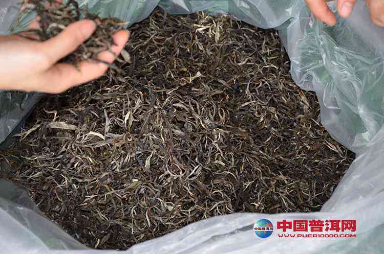 普洱茶混乱现象的原因及其解决方法：一次全面的解析