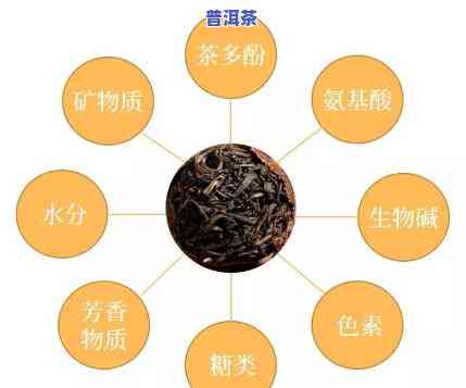 普洱茶的神奇功效：如何帮助抗击新型冠状病？