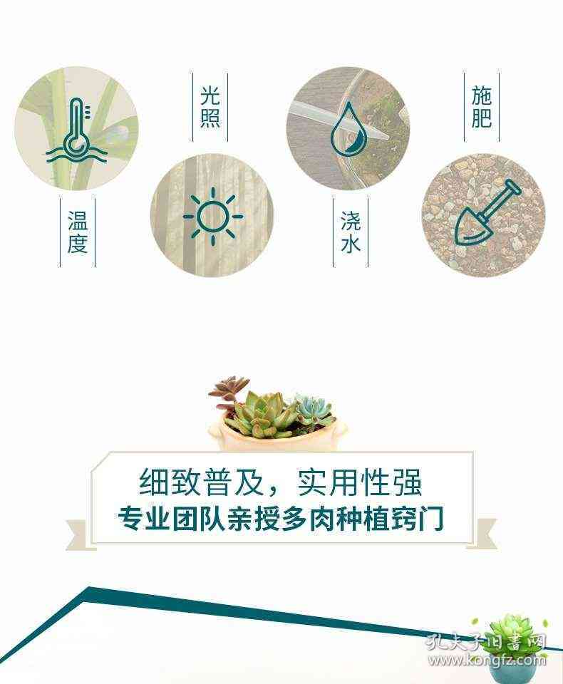 冰清玉洁用法大全：详细解释与用量指南