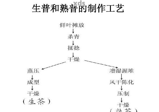 详解普洱茶生茶与熟茶的制作加工工艺流程及独特魅力