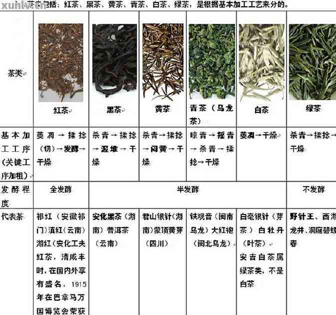 普洱茶的加工工艺流程单模板：普洱茶加工工艺详细步骤与要点。