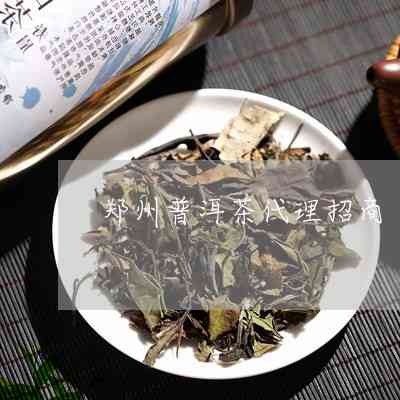 普洱茶招河南省代理吗？知名普洱茶代理条件及