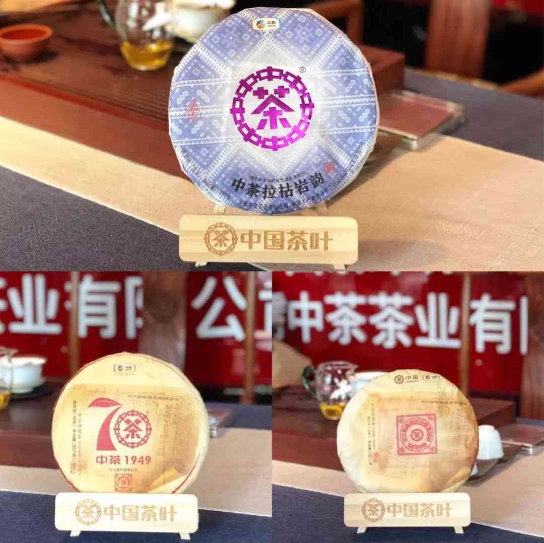 普洱茶招河南省代理