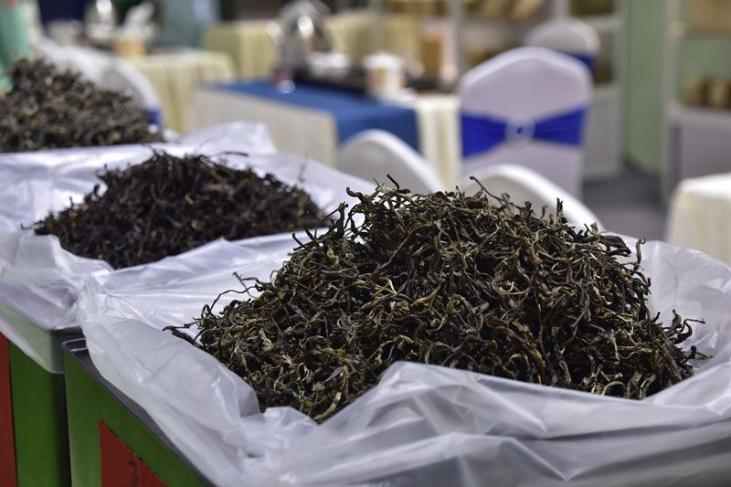 冰岛母树茶价格及口感，普洱茶冰岛母树价格，大概多少钱一斤