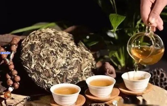 普洱茶工艺的起源与发展：从古代到现代的演变历程