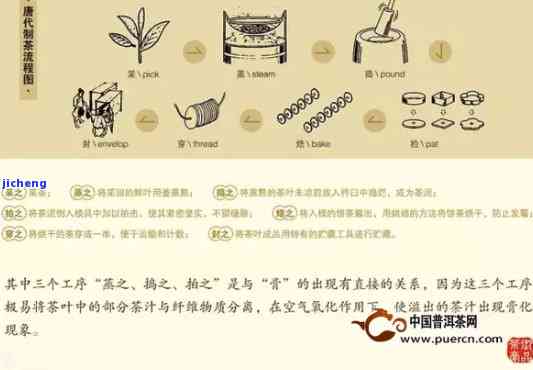 普洱茶工艺历发展：从传统到现代的演变