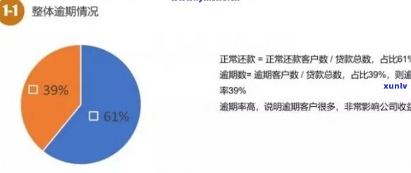 乐分期逾期情况分析：严重程度、影响及应对措