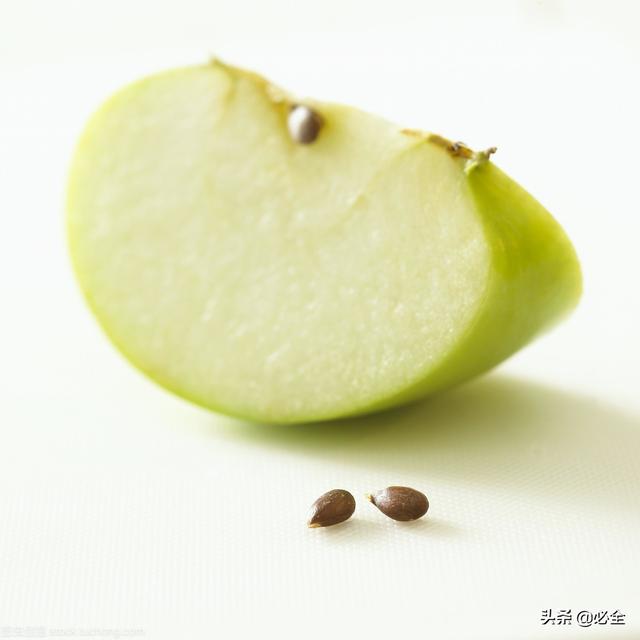 苹果绿豆种子：从翡翠变种到可食用的神奇过程