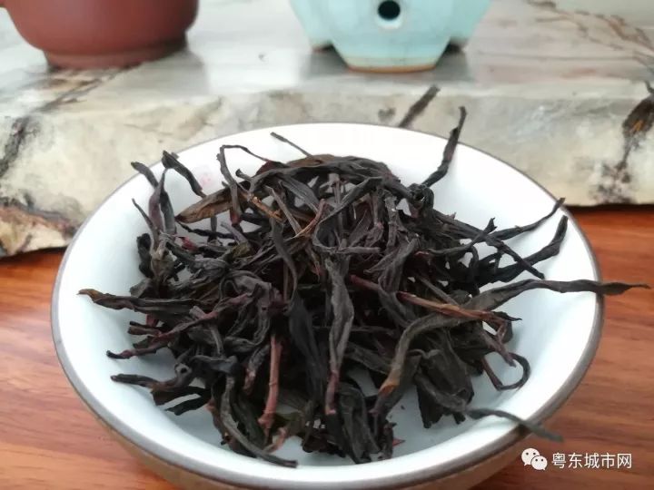 广东当地茶文化：品味广式、潮汕与客家特色茶饮及其品种