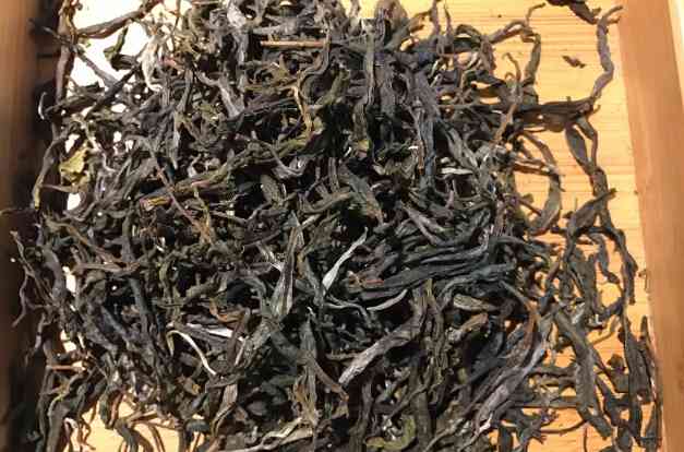 云南古树普洱茶：十大独特品种的品鉴与鉴