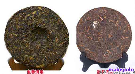 普洱茶的种类及其特点解析：包括熟普洱在内的各种普洱茶介绍