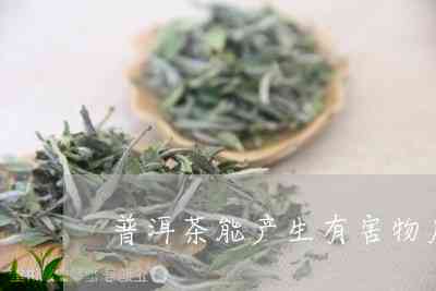 普洱茶有害物质残留问题：普洱茶中常见的残留物质有哪些？