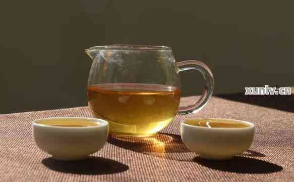 如何选择最适合泡普洱茶的碗？了解各种材质和形状的优缺点