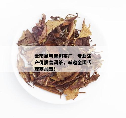 昆明普洱茶厂列表：全方位了解优质茶叶生产厂家及其产品特点