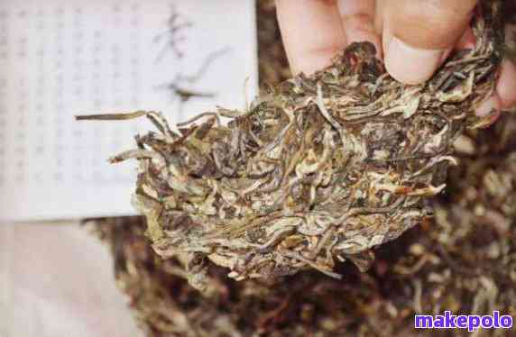 普洱茶有霉菌正常吗？能喝吗？