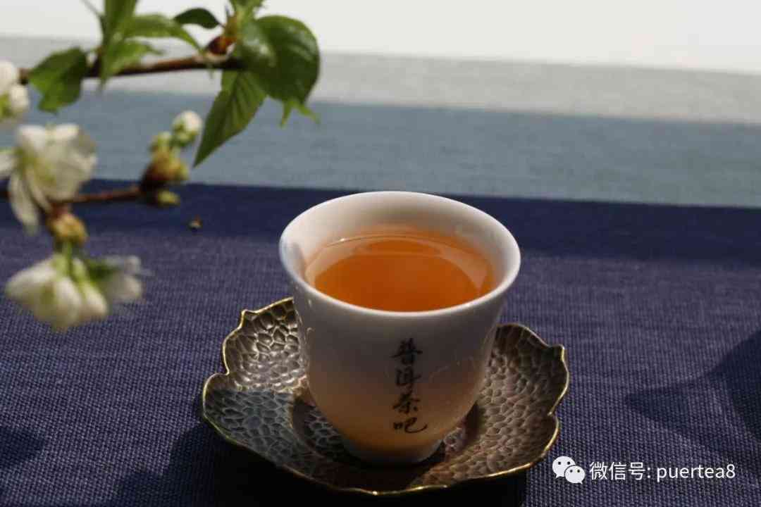 小户赛普洱茶价格2022年行情及口感分析，云南普洱茶小户赛百科全书