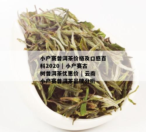 小户赛普洱茶：古树优质茶品，批发价格行情分析