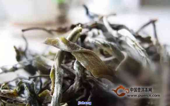普洱茶白霜现象的真实照片：是否意味着茶叶发霉？