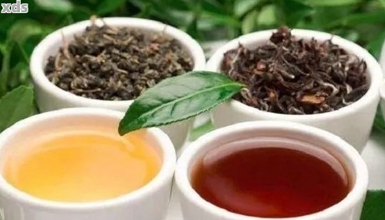 普洱茶是什么茶种：特点、种类与属于哪种茶。