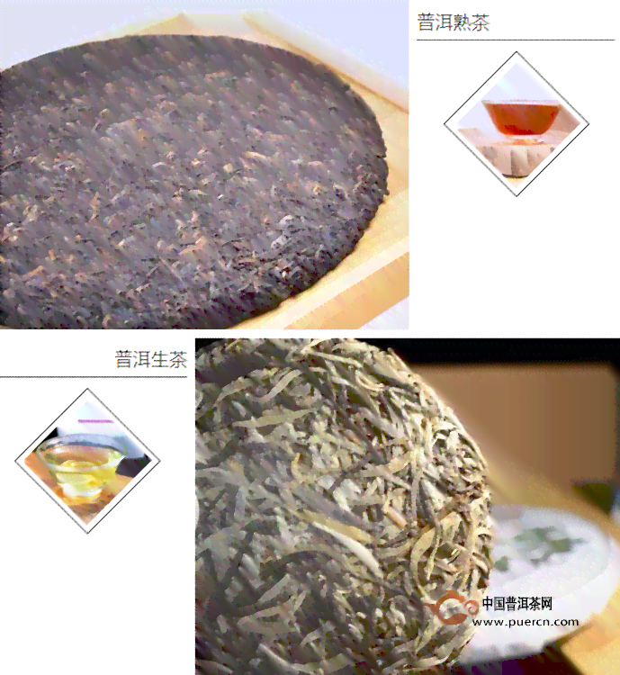 普洱茶类别：普洱属于哪种茶？