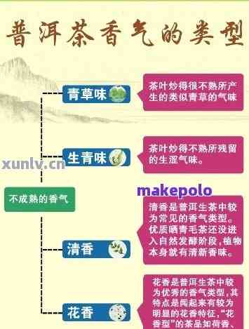 普洱茶的分类、种类及产地全解析：了解普洱茶的方方面面