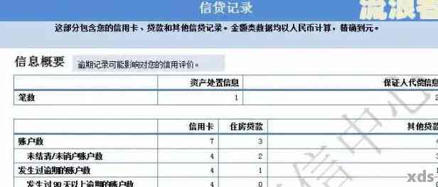 了解逾期记录的信用报告查询方法