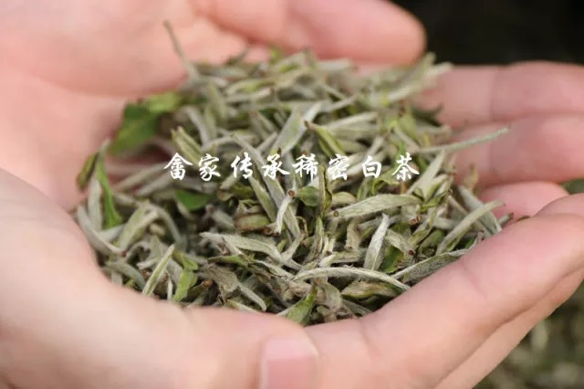 十大名牌普洱茶：红茶、口碑的及产地