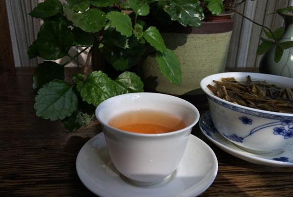 全面掌握评饮普洱茶技巧：从外观、香气到口感，如何辨别优质普洱茶？