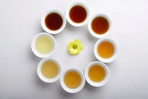 探究普洱茶的香气、滋味及其与其他茶叶的区别：一份全面的评价指南