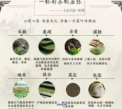 古道茗茶普洱价格及选购指南：了解普洱茶的各种类型和品质