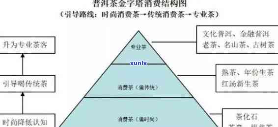 普洱茶直播带货实战技巧：深入解析营销策略与成功案例