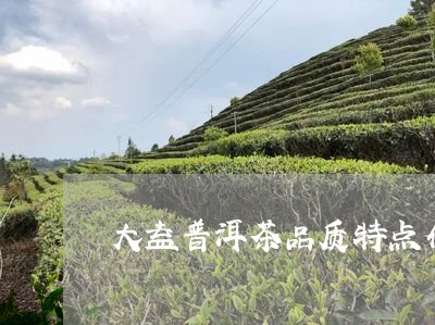 潍坊大益普洱茶：品质、产地、泡法、功效等全方位解析