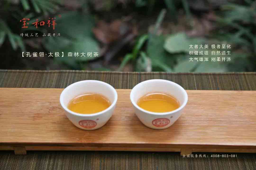 陈味普洱茶的深度解读：一场口感与岁月的邂逅