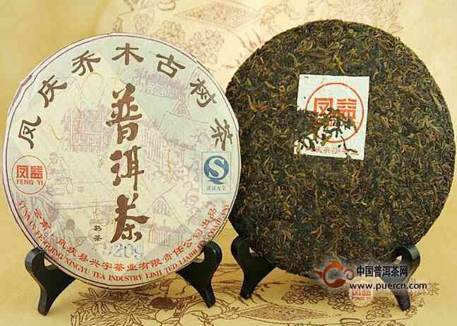 全面解析普洱茶茶饼：从外观到品质，如何挑选与品鉴？