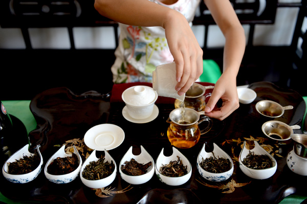 小娘娘的普洱茶宴直播：品味云南古树茶香，探索茶文化奥秘