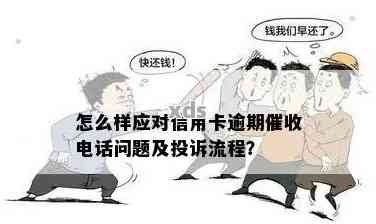 探物逾期几天开始打电话？了解时间表和应对策略