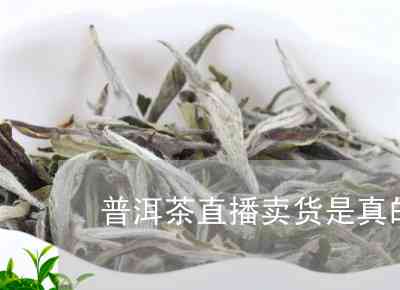 直播糯香普洱茶是真是假