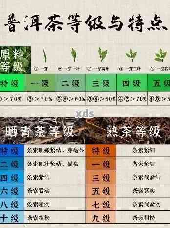 普洱茶：品种特点、品质鉴别、冲泡方法与收藏价值全面解析