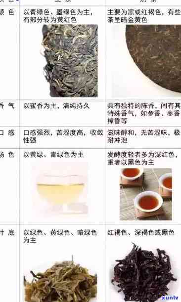 普洱茶：品种特点、品质鉴别、冲泡方法与收藏价值全面解析