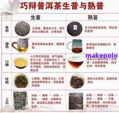 普峰堂普洱茶价格及不同年份、品种、级别和渠道的详细解读
