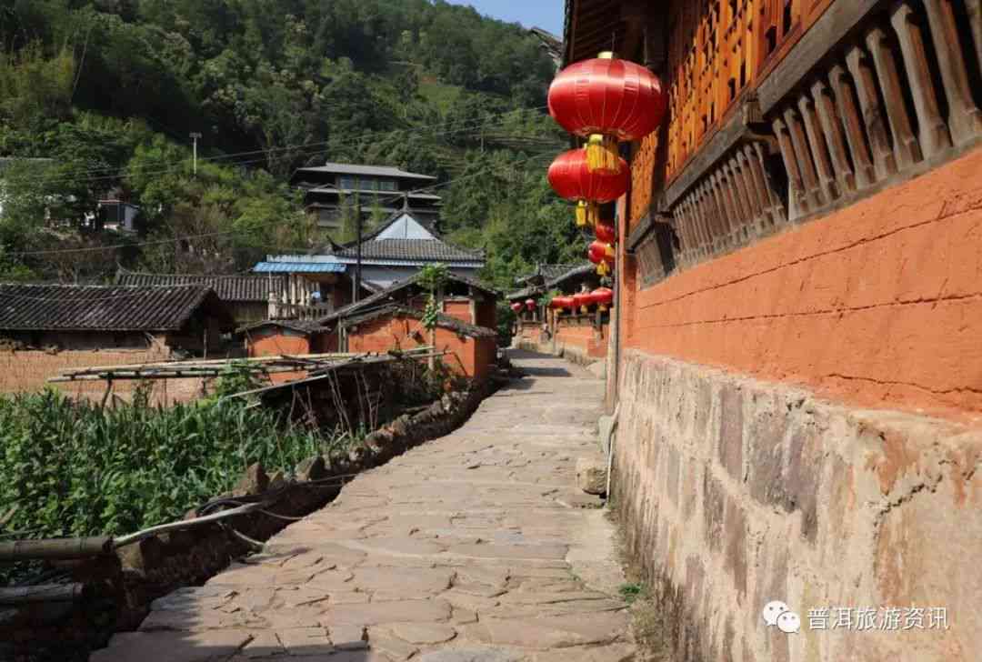 府城优质普洱茶专卖店一览：寻找品尝地道普洱的完美场所