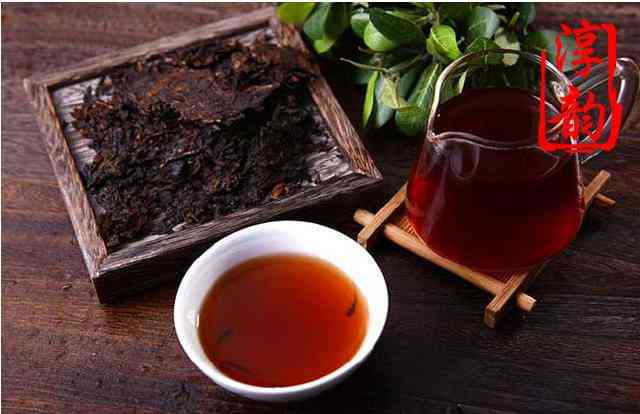 探究普洱茶中是否含有茶油，以及其原因与解析