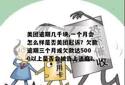 美团逾期3万欠半年会起诉吗？处理方式和可能的费用是多少？