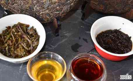 普洱茶花香深度解析：如何品鉴、冲泡与保存，让你的茶香四溢