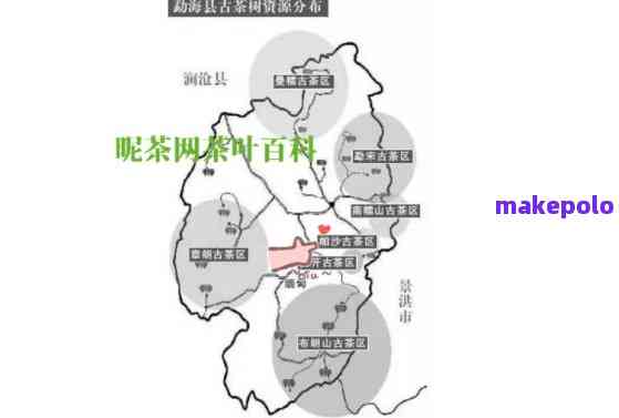 帕沙普洱茶：产地解析及其独特的茶叶特点